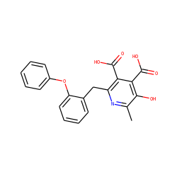 Cc1nc(Cc2ccccc2Oc2ccccc2)c(C(=O)O)c(C(=O)O)c1O ZINC000103242012
