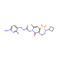 Cc1nc(N)ccc1CNC(=O)Cn1c(C)cc2c(c1=O)NCN(C1CCC1)S2(=O)=O ZINC000013489230