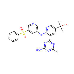 Cc1nc(N)nc(-c2cc(C(C)(C)O)cnc2Nc2cncc(S(=O)(=O)c3ccccc3)c2)n1 ZINC000113235292
