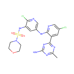 Cc1nc(N)nc(-c2cc(Cl)cnc2Nc2cnc(Cl)c(NS(=O)(=O)N3CCOCC3)c2)n1 ZINC000095562578