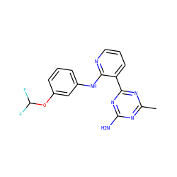 Cc1nc(N)nc(-c2cccnc2Nc2cccc(OC(F)F)c2)n1 ZINC000113242092