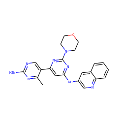 Cc1nc(N)ncc1-c1cc(Nc2cnc3ccccc3c2)nc(N2CCOCC2)n1 ZINC000084634944