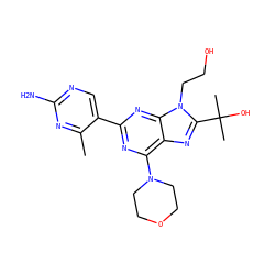 Cc1nc(N)ncc1-c1nc(N2CCOCC2)c2nc(C(C)(C)O)n(CCO)c2n1 ZINC000115266052