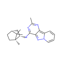 Cc1nc(N[C@H]2C[C@H]3CC[C@@]2(C)C3(C)C)c2nn3ccccc3c2n1 ZINC000653744946