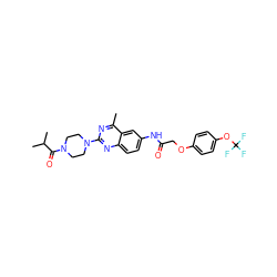 Cc1nc(N2CCN(C(=O)C(C)C)CC2)nc2ccc(NC(=O)COc3ccc(OC(F)(F)F)cc3)cc12 ZINC000084617312