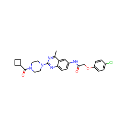 Cc1nc(N2CCN(C(=O)C3CCC3)CC2)nc2ccc(NC(=O)COc3ccc(Cl)cc3)cc12 ZINC000084635872