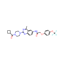 Cc1nc(N2CCN(C(=O)C3CCC3)CC2)nc2ccc(NC(=O)COc3ccc(OC(F)(F)F)cc3)cc12 ZINC000084635875