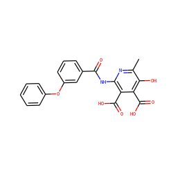 Cc1nc(NC(=O)c2cccc(Oc3ccccc3)c2)c(C(=O)O)c(C(=O)O)c1O ZINC000103242021