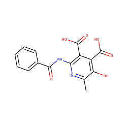 Cc1nc(NC(=O)c2ccccc2)c(C(=O)O)c(C(=O)O)c1O ZINC000103242016