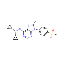 Cc1nc(NC(C2CC2)C2CC2)c2nc(C)n(-c3ccc(S(C)(=O)=O)cc3)c2n1 ZINC000072123444