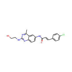 Cc1nc(NCCO)nc2ccc(NC(=O)/C=C/c3ccc(Cl)cc3)cc12 ZINC000084616201