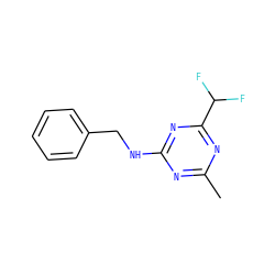 Cc1nc(NCc2ccccc2)nc(C(F)F)n1 ZINC000103296890
