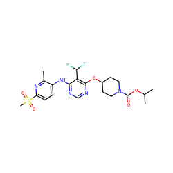 Cc1nc(S(C)(=O)=O)ccc1Nc1ncnc(OC2CCN(C(=O)OC(C)C)CC2)c1C(F)F ZINC000073200589