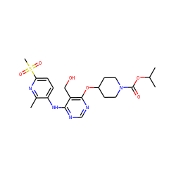 Cc1nc(S(C)(=O)=O)ccc1Nc1ncnc(OC2CCN(C(=O)OC(C)C)CC2)c1CO ZINC000082148850