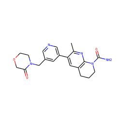 Cc1nc2c(cc1-c1cncc(CN3CCOCC3=O)c1)CCCN2C(N)=O ZINC001772648228