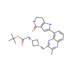 Cc1nc2cccc(-c3cc4c([nH]3)CCNC4=O)c2nc1N[C@H]1C[C@@H](NC(=O)OC(C)(C)C)C1 ZINC001772645665
