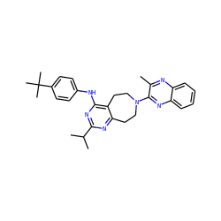 Cc1nc2ccccc2nc1N1CCc2nc(C(C)C)nc(Nc3ccc(C(C)(C)C)cc3)c2CC1 ZINC000144282236