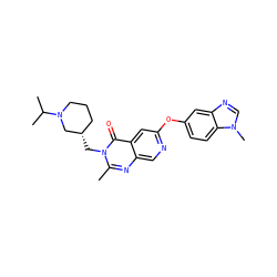 Cc1nc2cnc(Oc3ccc4c(c3)ncn4C)cc2c(=O)n1C[C@H]1CCCN(C(C)C)C1 ZINC000073313947