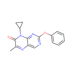 Cc1nc2cnc(Oc3ccccc3)nc2n(C2CC2)c1=O ZINC000004238841