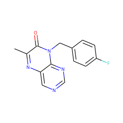 Cc1nc2cncnc2n(Cc2ccc(F)cc2)c1=O ZINC000004238674