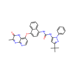 Cc1nc2nccc(Oc3ccc(NC(=O)Nc4cc(C(C)(C)C)nn4-c4ccccc4)c4ccccc34)c2[nH]c1=O ZINC000058583664
