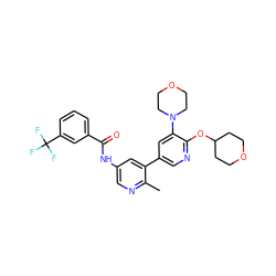 Cc1ncc(NC(=O)c2cccc(C(F)(F)F)c2)cc1-c1cnc(OC2CCOCC2)c(N2CCOCC2)c1 ZINC000225978444