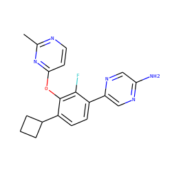 Cc1nccc(Oc2c(C3CCC3)ccc(-c3cnc(N)cn3)c2F)n1 ZINC000224588178