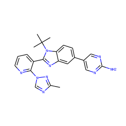 Cc1ncn(-c2ncccc2-c2nc3cc(-c4cnc(N)nc4)ccc3n2C(C)(C)C)n1 ZINC000169250906