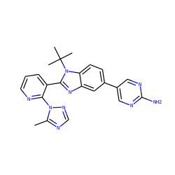 Cc1ncnn1-c1ncccc1-c1nc2cc(-c3cnc(N)nc3)ccc2n1C(C)(C)C ZINC000169250741