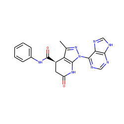 Cc1nn(-c2ncnc3[nH]cnc23)c2c1[C@H](C(=O)Nc1ccccc1)CC(=O)N2 ZINC001772646037