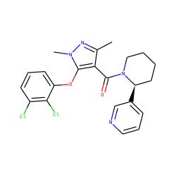 Cc1nn(C)c(Oc2cccc(Cl)c2Cl)c1C(=O)N1CCCC[C@H]1c1cccnc1 ZINC000095586486