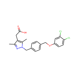 Cc1nn(Cc2ccc(COc3ccc(Cl)c(Cl)c3)cc2)c(C)c1CC(=O)O ZINC000169704033