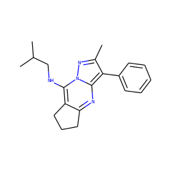Cc1nn2c(NCC(C)C)c3c(nc2c1-c1ccccc1)CCC3 ZINC000002237167