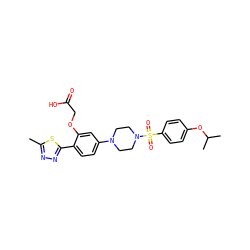 Cc1nnc(-c2ccc(N3CCN(S(=O)(=O)c4ccc(OC(C)C)cc4)CC3)cc2OCC(=O)O)s1 ZINC001772592156