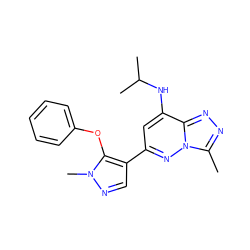 Cc1nnc2c(NC(C)C)cc(-c3cnn(C)c3Oc3ccccc3)nn12 ZINC000213528292