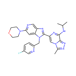 Cc1nnc2c(NC(C)C)nc(-c3nc4cnc(N5CCOCC5)cc4n3Cc3ccc(F)cn3)cn12 ZINC000210009802