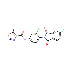 Cc1ocnc1C(=O)Nc1ccc(N2C(=O)c3ccc(Cl)cc3C2=O)c(Cl)c1 ZINC000653708692