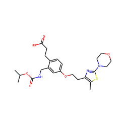Cc1sc(N2CCOCC2)nc1CCOc1ccc(CCC(=O)O)c(CNC(=O)OC(C)C)c1 ZINC000034717787