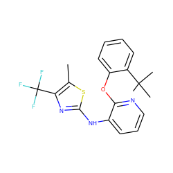 Cc1sc(Nc2cccnc2Oc2ccccc2C(C)(C)C)nc1C(F)(F)F ZINC000096272813