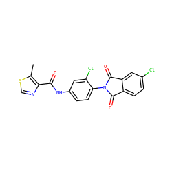 Cc1scnc1C(=O)Nc1ccc(N2C(=O)c3ccc(Cl)cc3C2=O)c(Cl)c1 ZINC000653696891