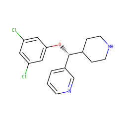 Clc1cc(Cl)cc(O[C@@H](c2cccnc2)C2CCNCC2)c1 ZINC000043062140