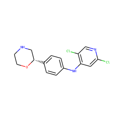 Clc1cc(Nc2ccc([C@H]3CNCCO3)cc2)c(Cl)cn1 ZINC000149989658
