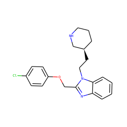 Clc1ccc(OCc2nc3ccccc3n2CC[C@@H]2CCCNC2)cc1 ZINC000013780284