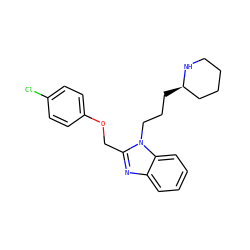 Clc1ccc(OCc2nc3ccccc3n2CCC[C@@H]2CCCCN2)cc1 ZINC000013780282