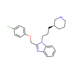 Clc1ccc(OCc2nc3ccccc3n2CCC[C@@H]2CCCNC2)cc1 ZINC000013780286