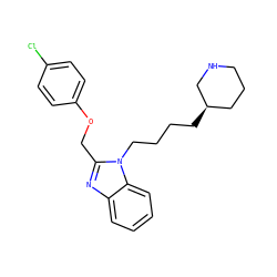 Clc1ccc(OCc2nc3ccccc3n2CCCC[C@@H]2CCCNC2)cc1 ZINC000013780288