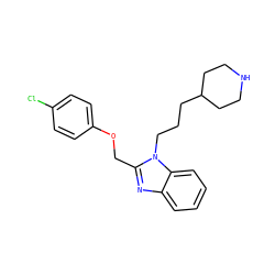 Clc1ccc(OCc2nc3ccccc3n2CCCC2CCNCC2)cc1 ZINC000013780291