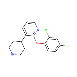 Clc1ccc(Oc2ncccc2C2CCNCC2)c(Cl)c1 ZINC000045355996