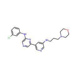 Clc1cccc(Nc2cncc(-c3cncc(NCCCN4CCOCC4)c3)n2)c1 ZINC000013648400