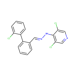 Clc1ccccc1-c1ccccc1/C=N/Nc1c(Cl)cncc1Cl ZINC000028571549